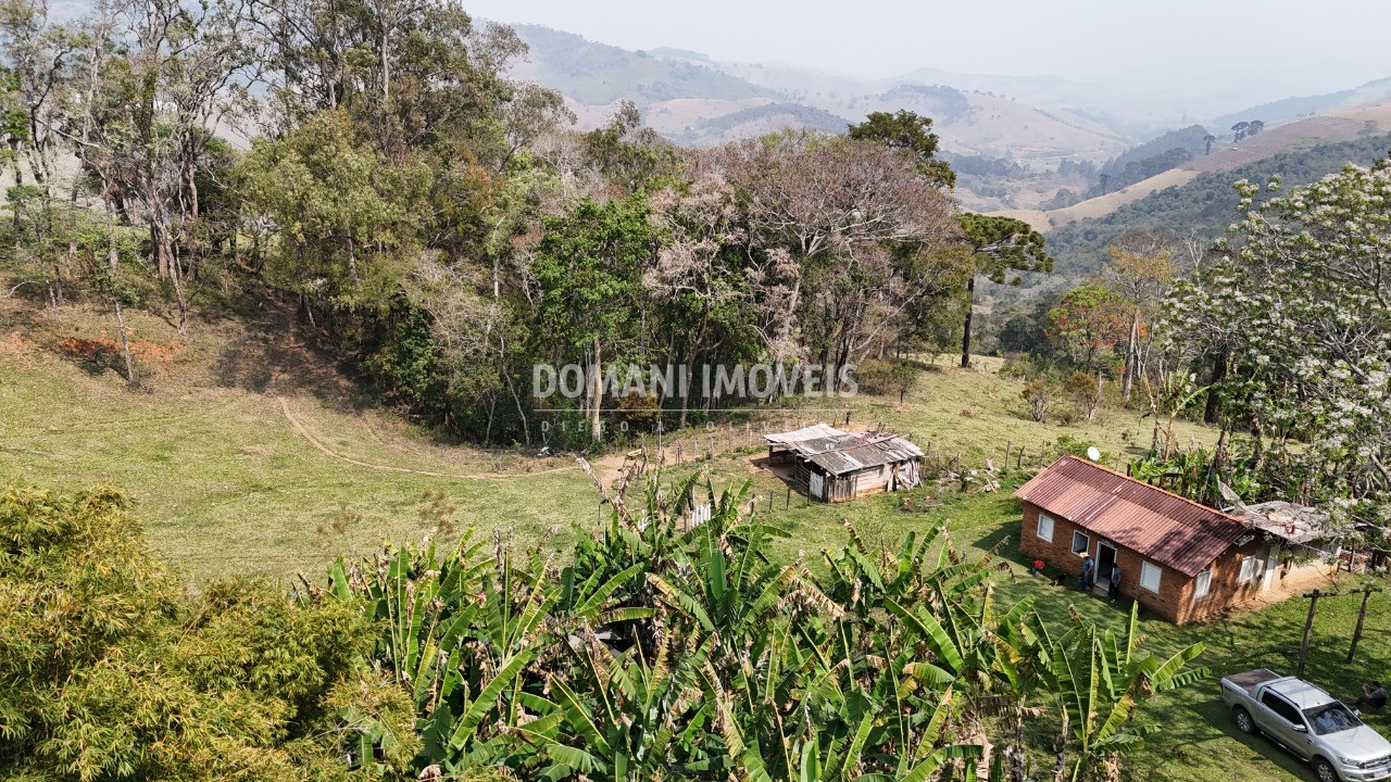 Haras e Área Rural Padrão à venda - Foto 52