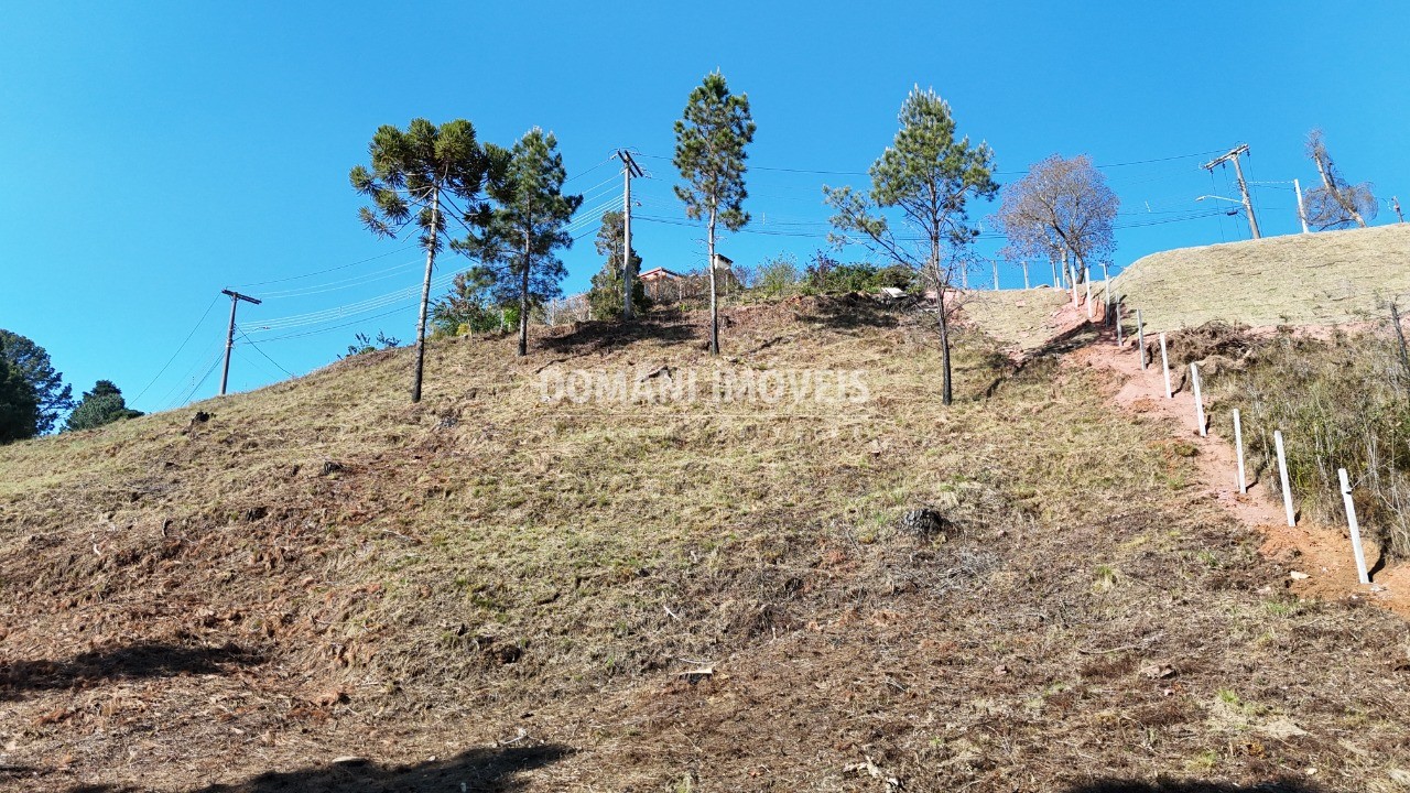 Terreno à venda, 1150m² - Foto 3