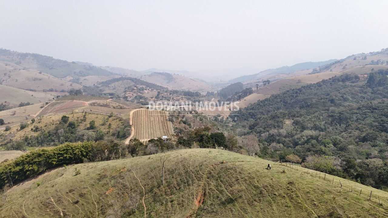 Haras e Área Rural Padrão à venda - Foto 6