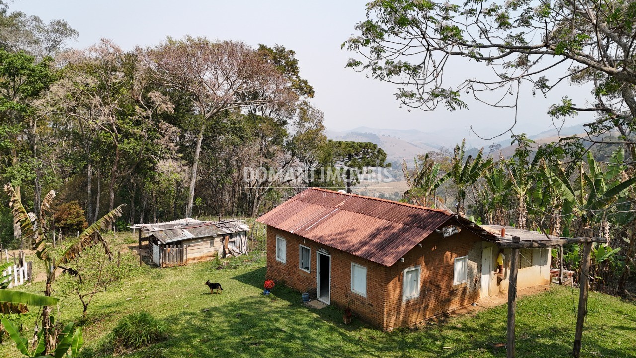 Haras e Área Rural Padrão à venda - Foto 38