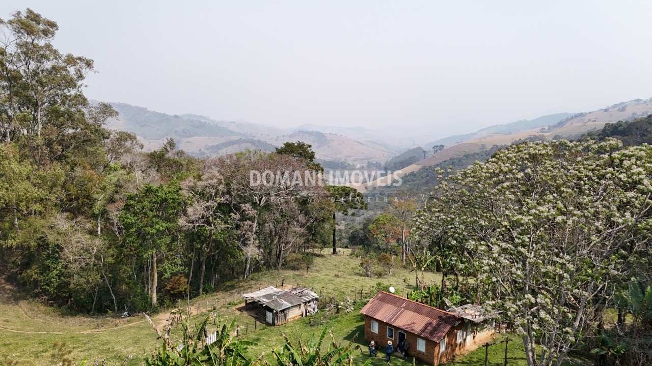 Haras e Área Rural Padrão à venda - Foto 43