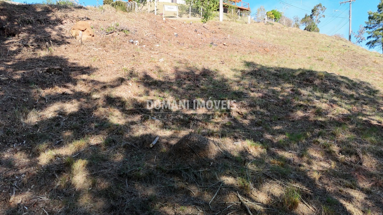 Terreno à venda, 1050m² - Foto 16