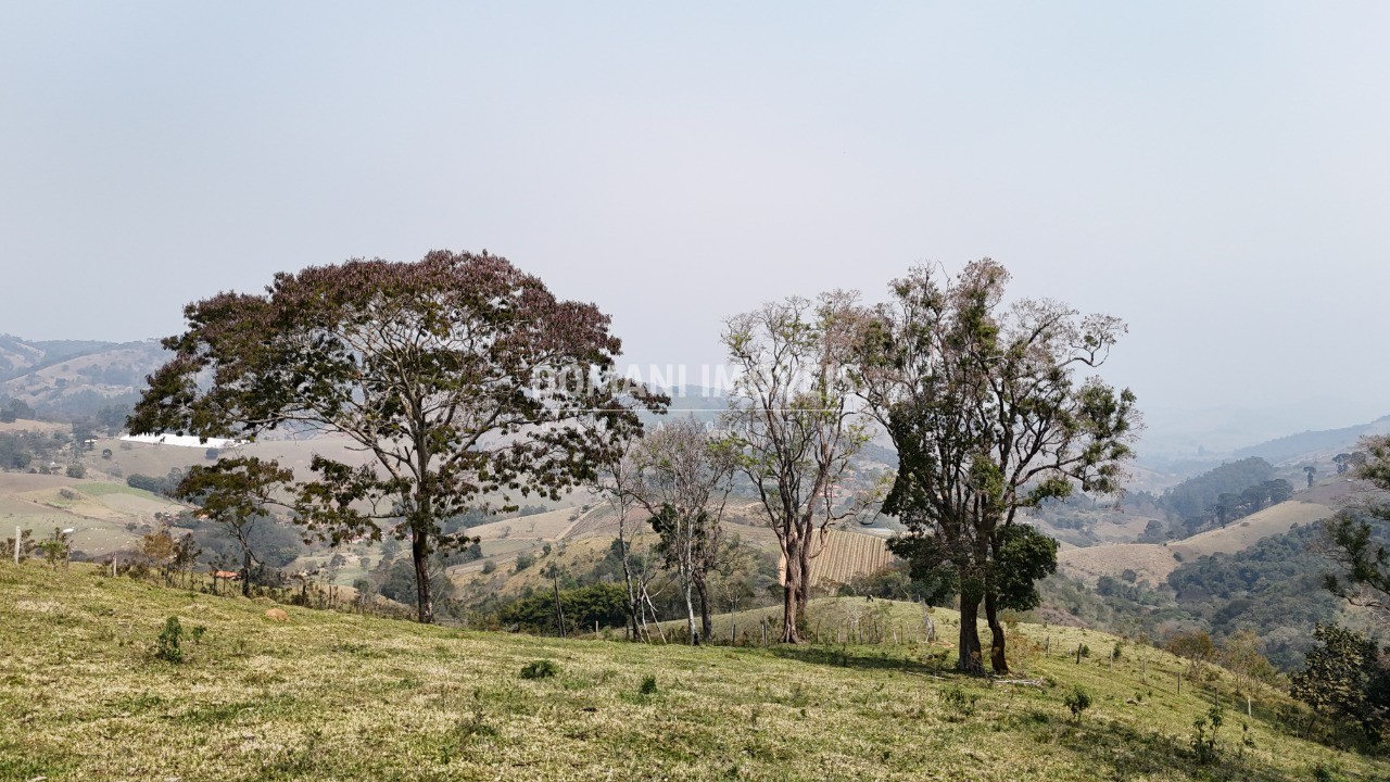 Haras e Área Rural Padrão à venda - Foto 20