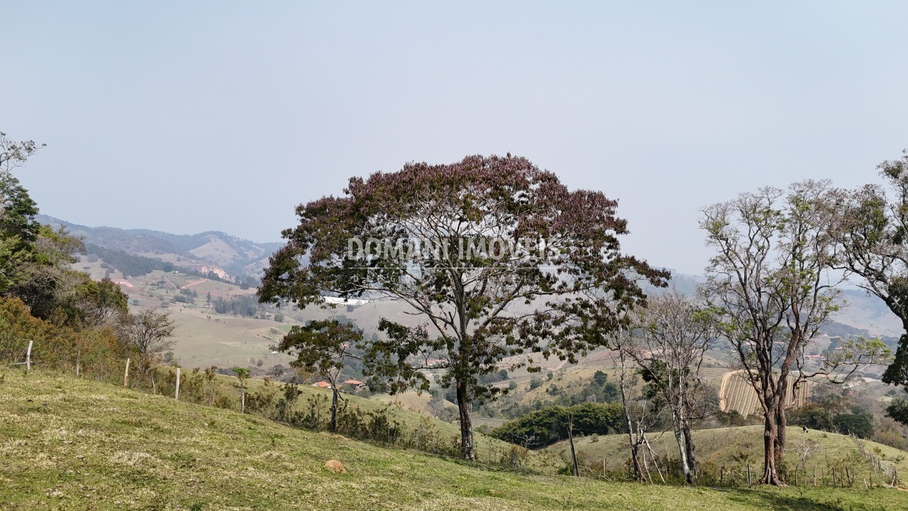 Haras e Área Rural Padrão à venda - Foto 41