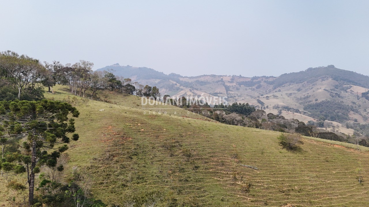 Haras e Área Rural Padrão à venda - Foto 61