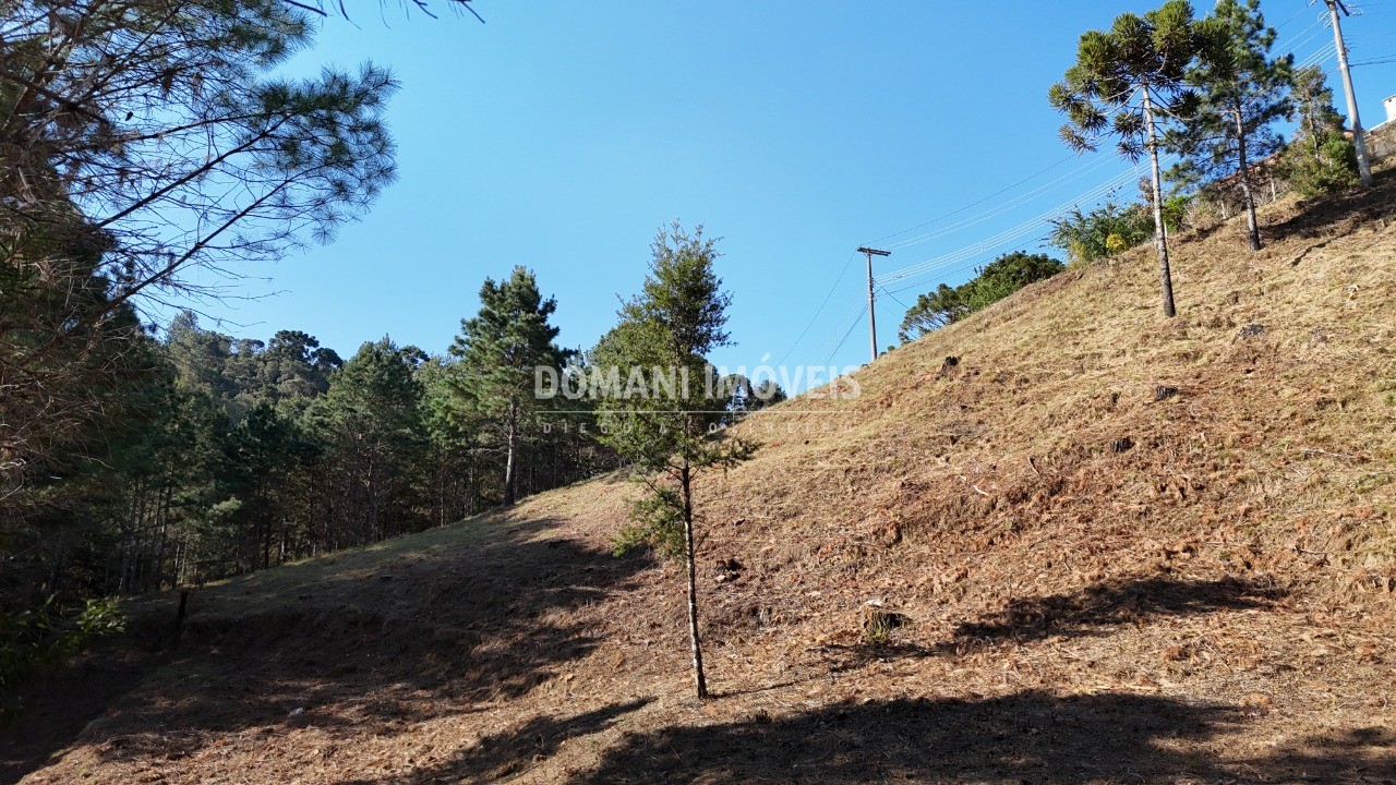 Terreno à venda, 1150m² - Foto 9