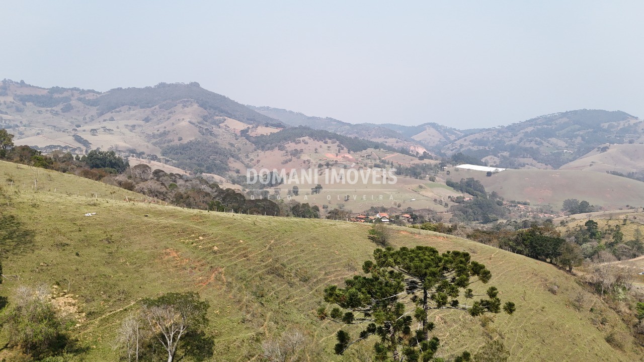 Haras e Área Rural Padrão à venda - Foto 3