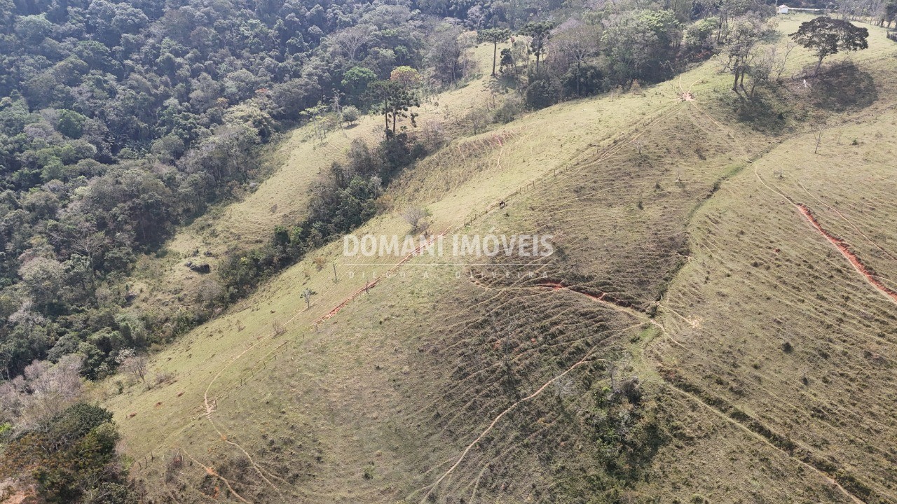 Haras e Área Rural Padrão à venda - Foto 60