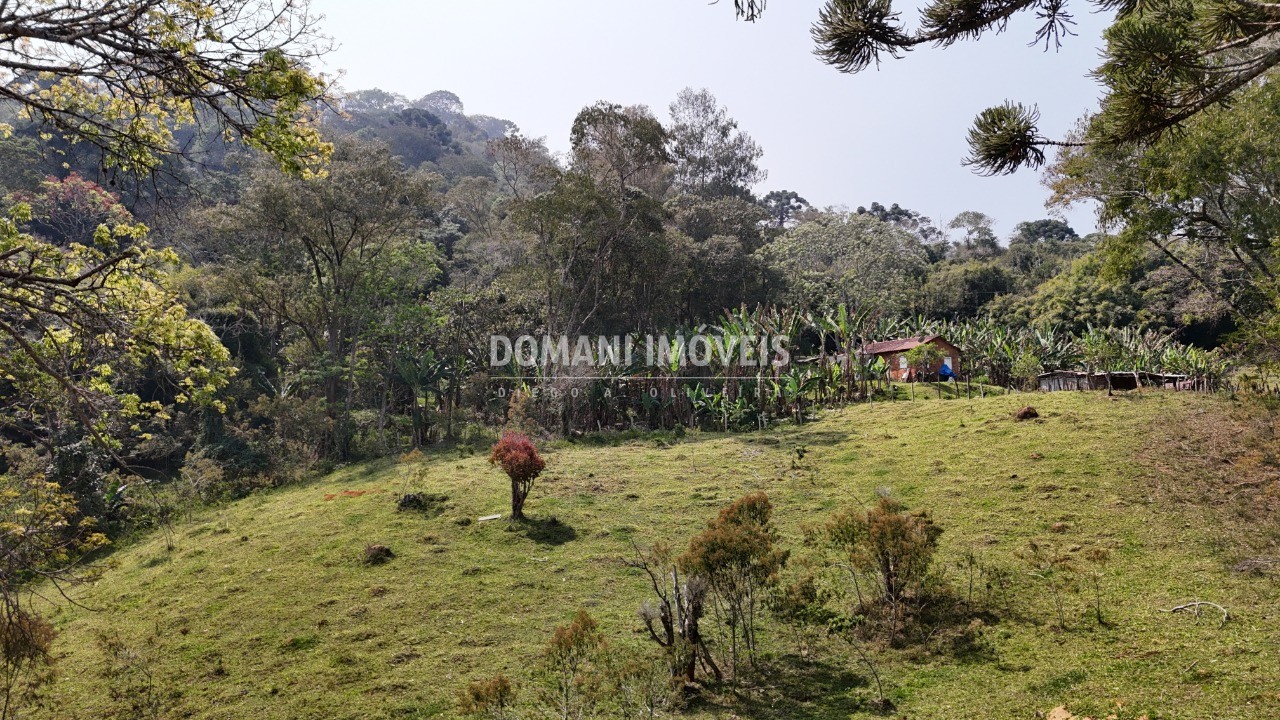 Haras e Área Rural Padrão à venda - Foto 4