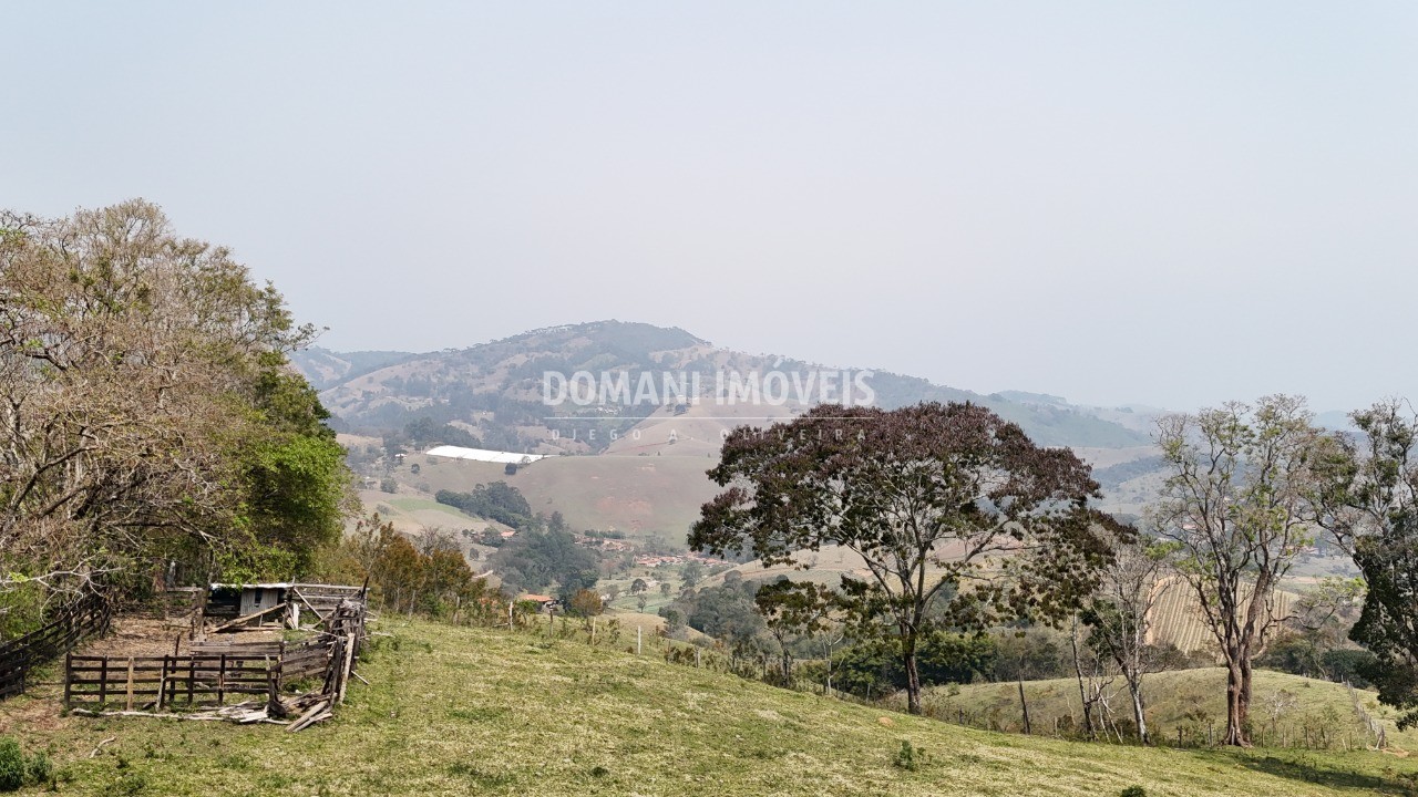 Haras e Área Rural Padrão à venda - Foto 30