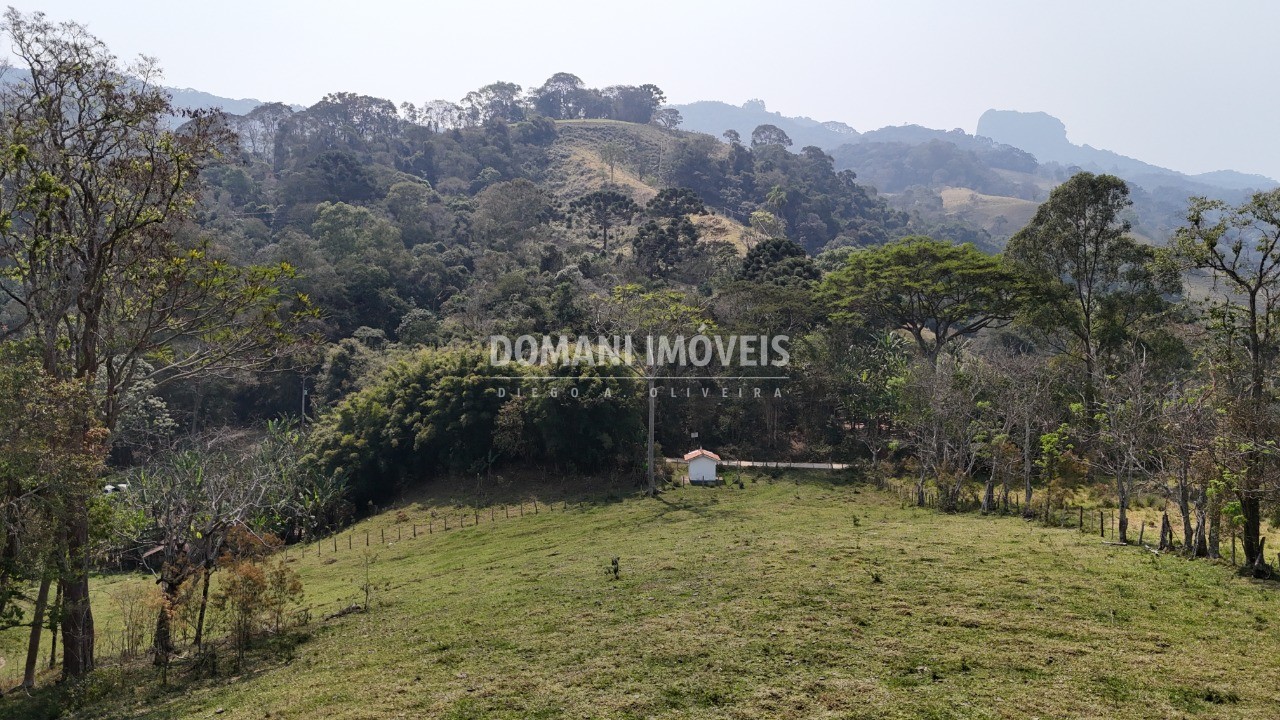 Haras e Área Rural Padrão à venda - Foto 63