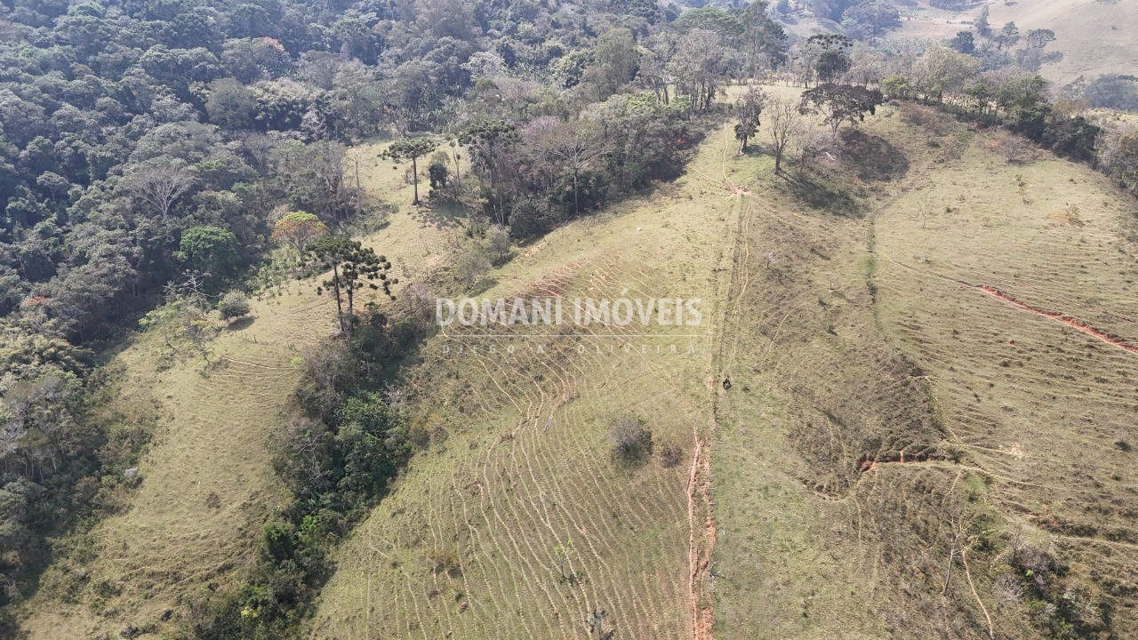 Haras e Área Rural Padrão à venda - Foto 65