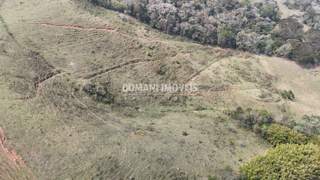 Haras e Área Rural Padrão à venda - Foto 45