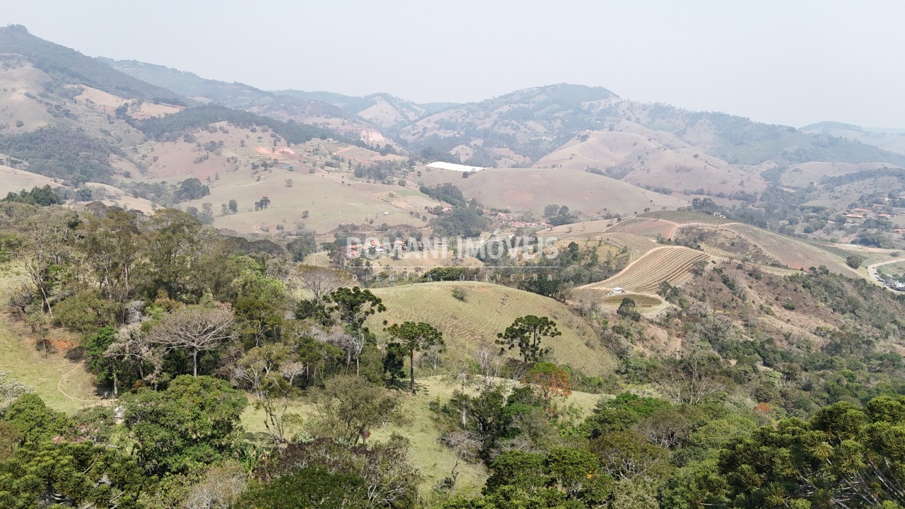 Haras e Área Rural Padrão à venda - Foto 46