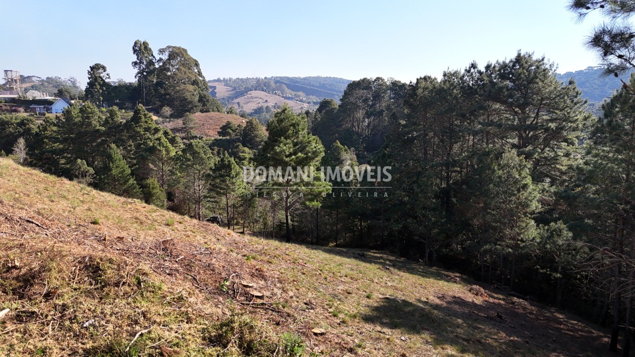 Terreno à venda, 1050m² - Foto 5