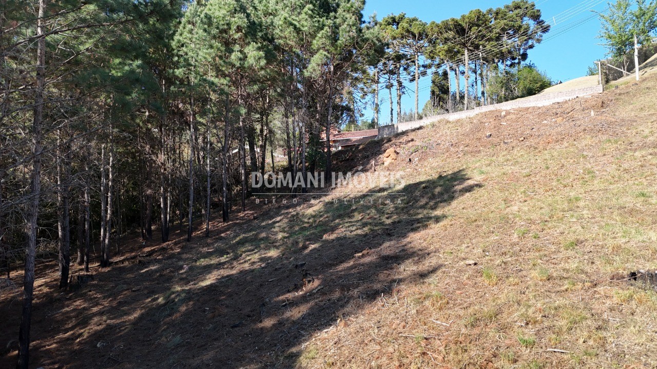 Terreno à venda, 1050m² - Foto 11