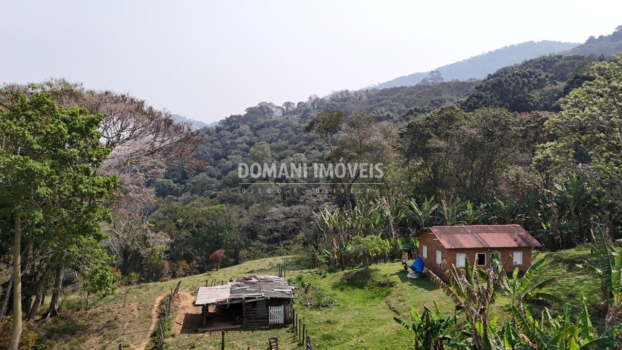 Haras e Área Rural Padrão à venda - Foto 49