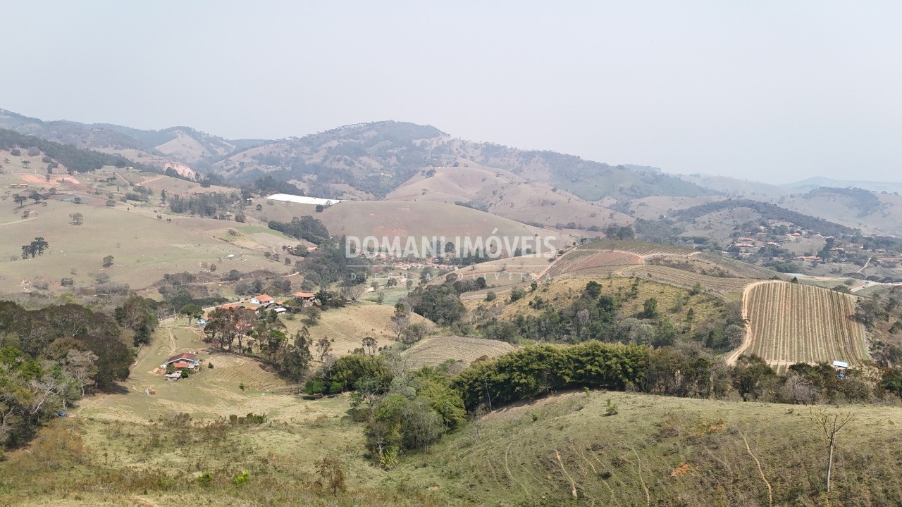 Haras e Área Rural Padrão à venda - Foto 8