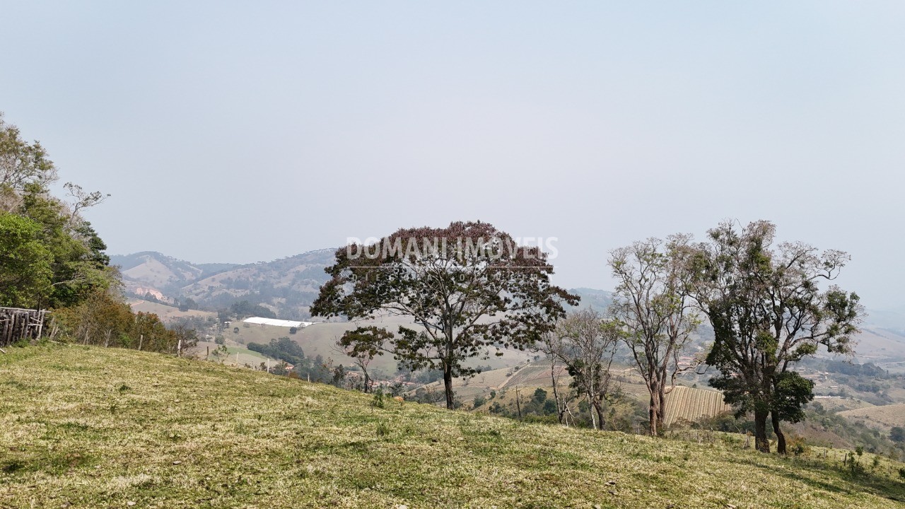 Haras e Área Rural Padrão à venda - Foto 29