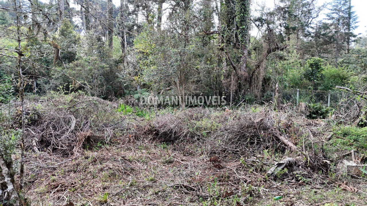 Loteamento e Condomínio à venda, 1200m² - Foto 9