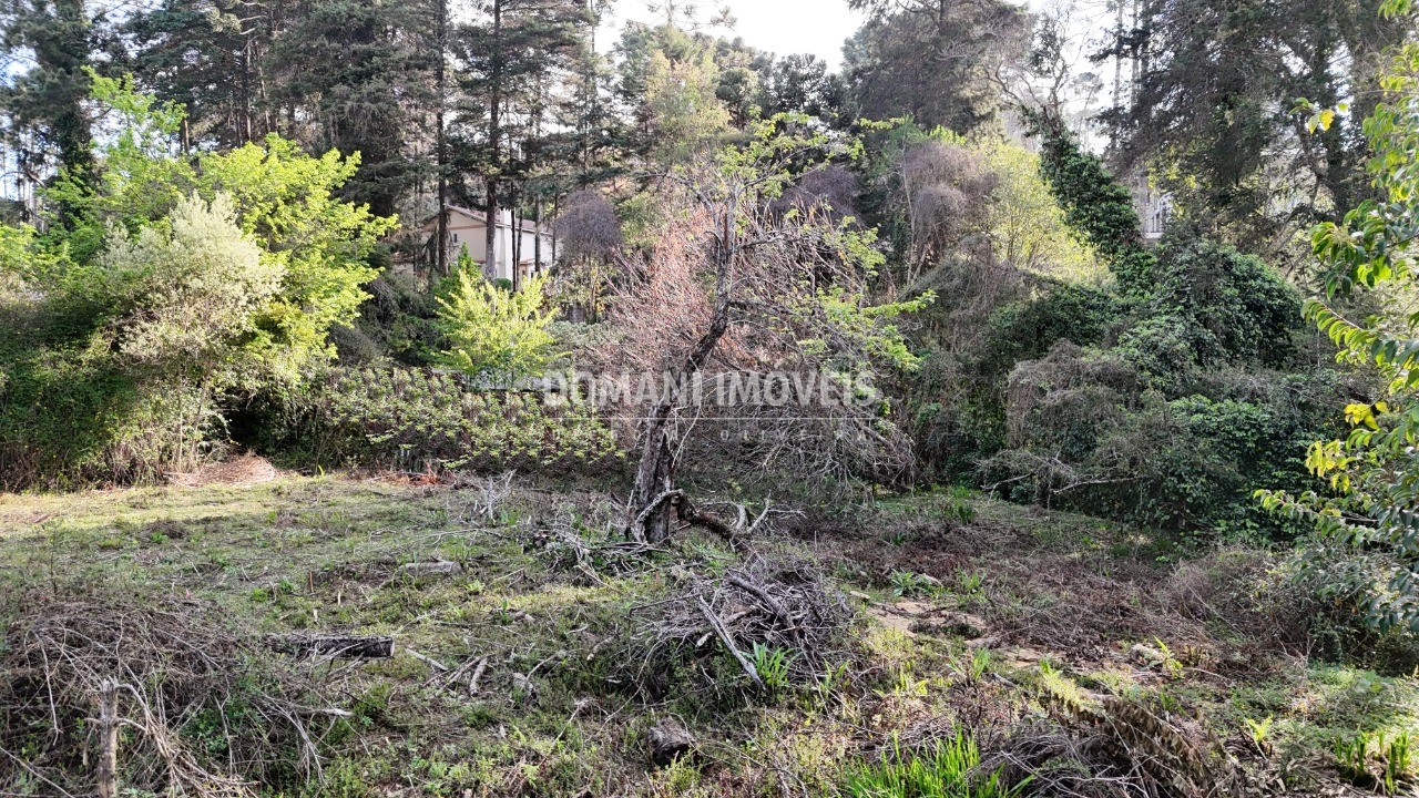 Loteamento e Condomínio à venda, 1200m² - Foto 1