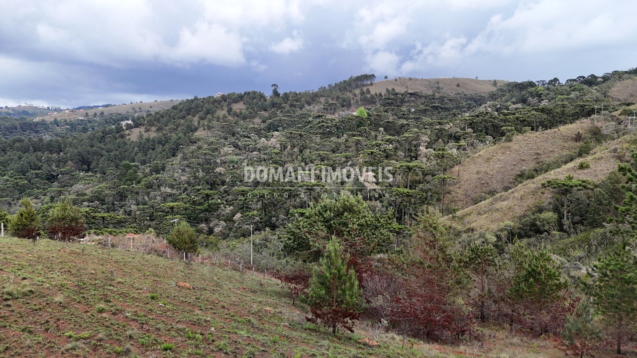 Terreno à venda, 1800m² - Foto 11