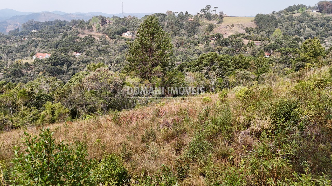 Terreno à venda, 8480m² - Foto 4