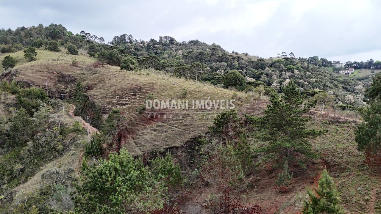 Terreno à venda, 1800m² - Foto 7