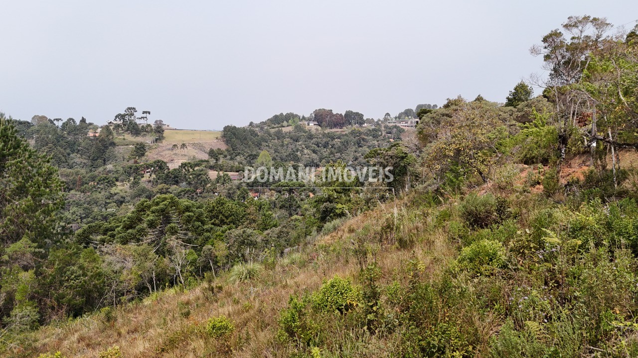 Terreno à venda, 8480m² - Foto 10