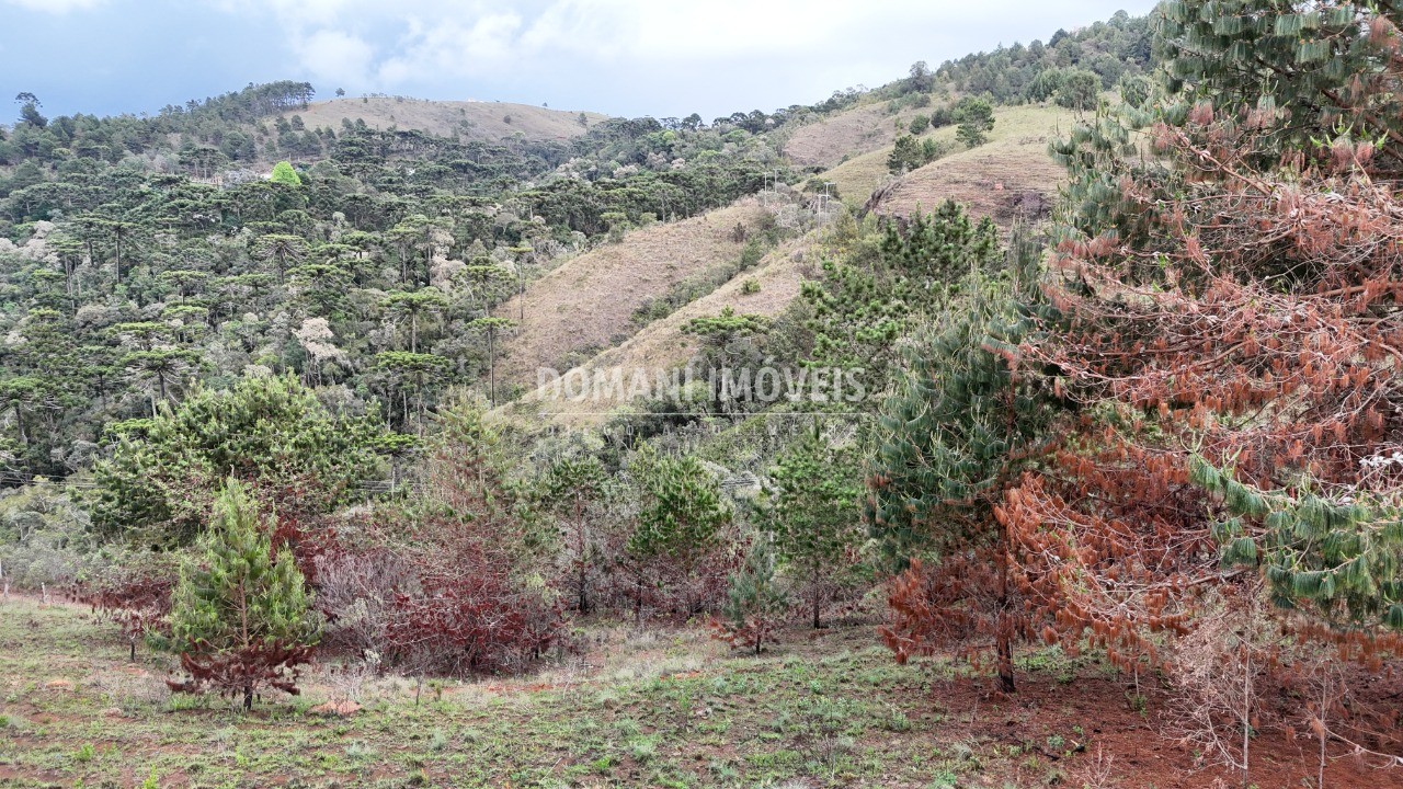 Terreno à venda, 1800m² - Foto 16