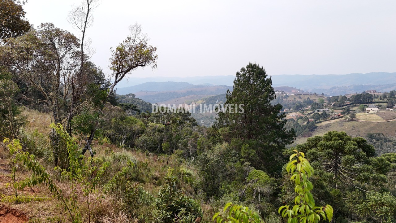 Terreno à venda, 8480m² - Foto 3