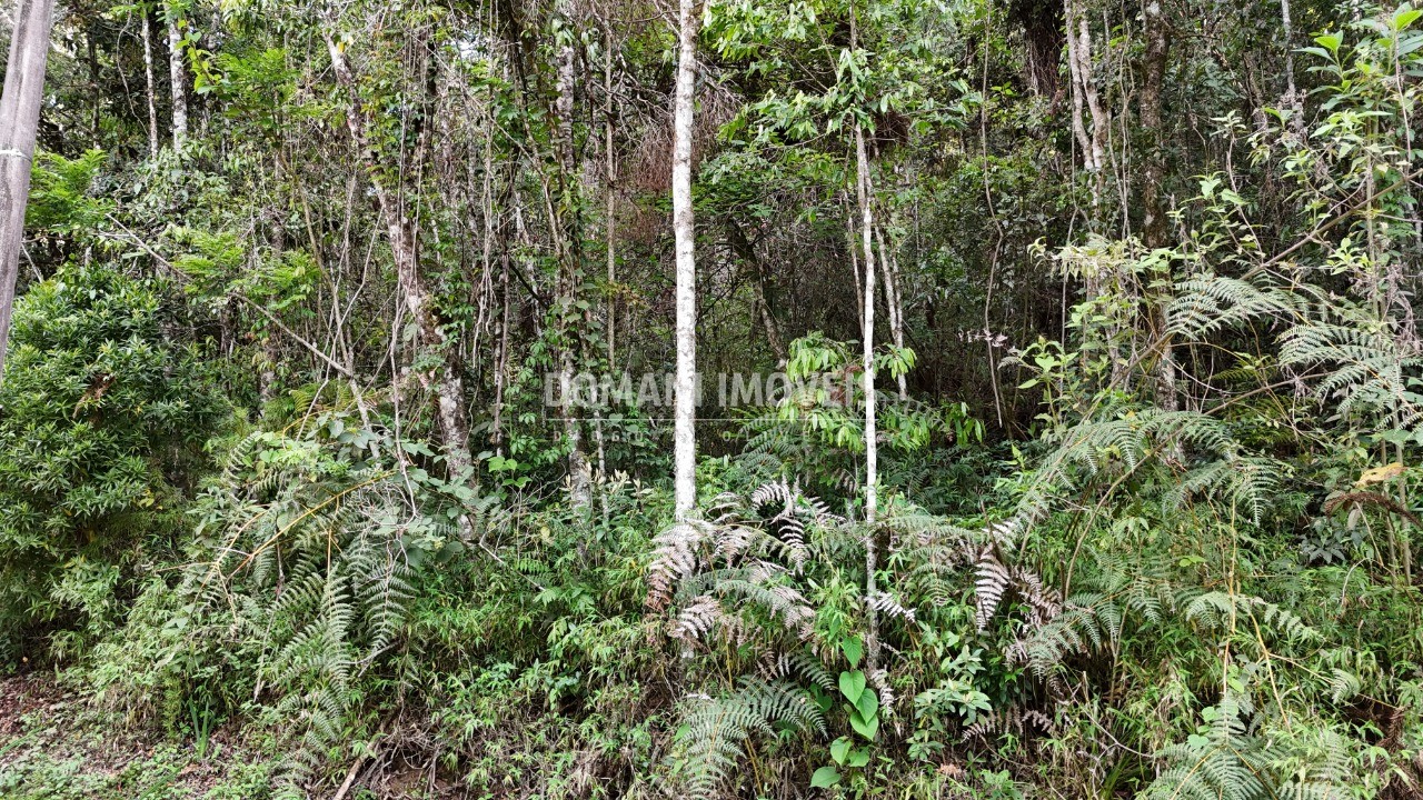 Terreno à venda, 1030m² - Foto 4