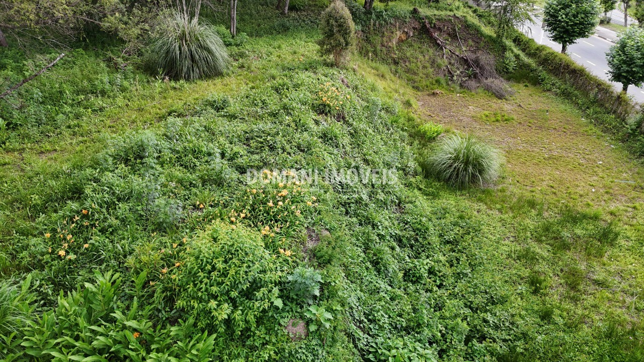 Loteamento e Condomínio à venda, 2540m² - Foto 10