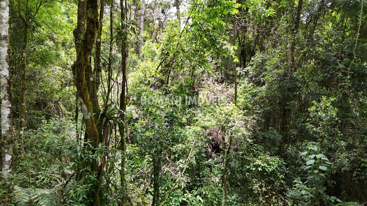 Terreno à venda, 10260m² - Foto 7