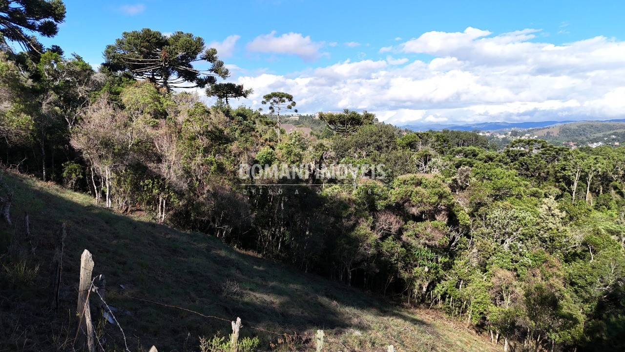 Terreno à venda, 1245m² - Foto 13