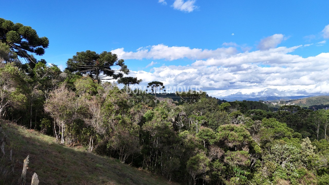 Terreno à venda, 1245m² - Foto 10