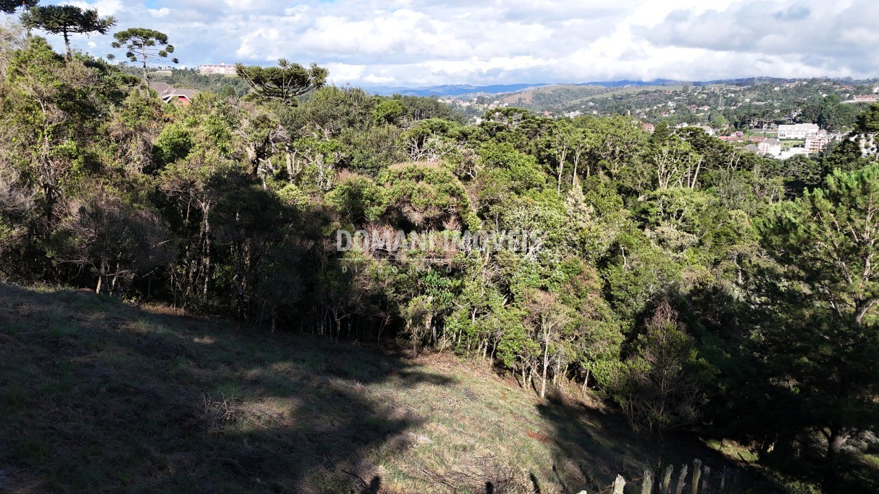 Terreno à venda, 1245m² - Foto 20