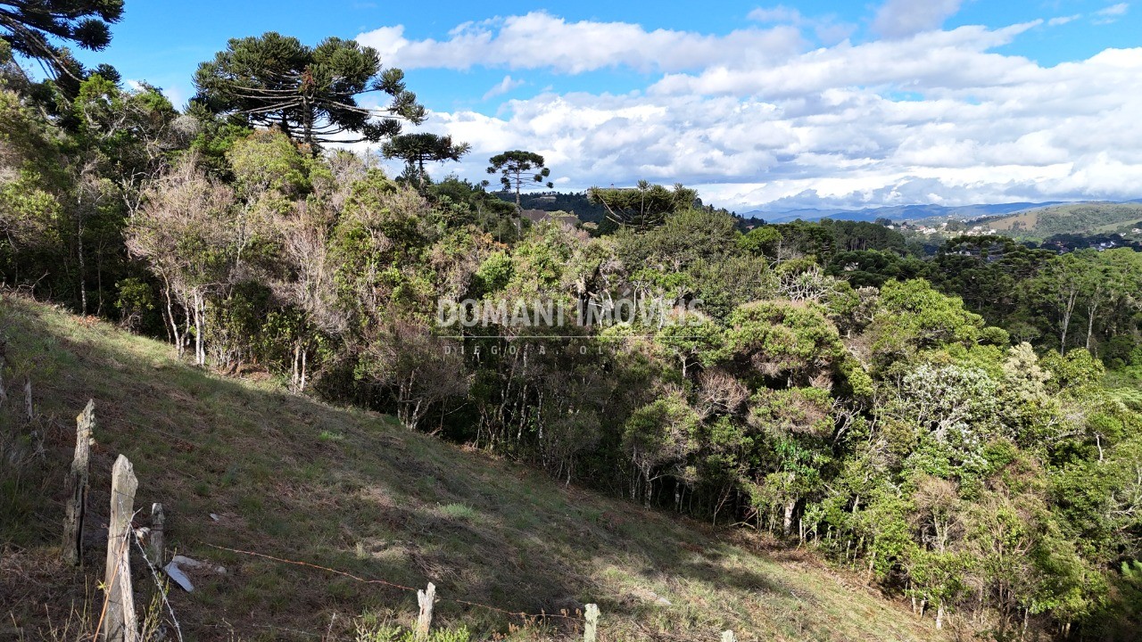 Terreno à venda, 1245m² - Foto 4