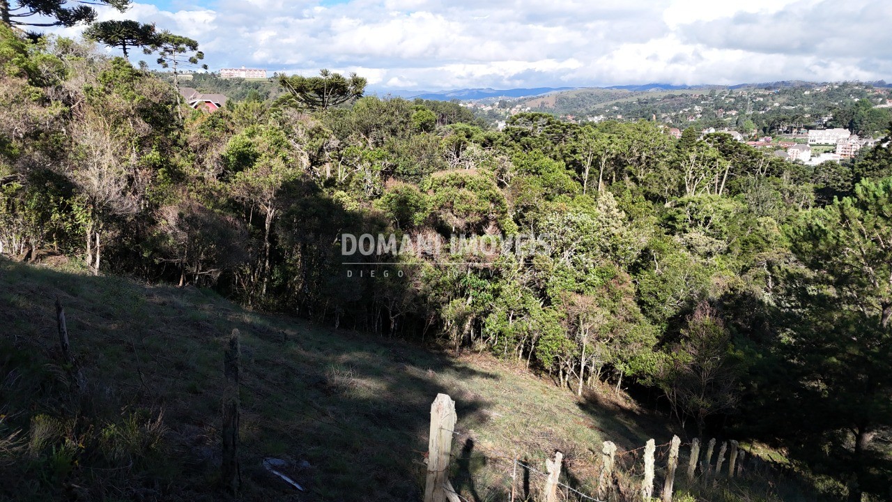 Terreno à venda, 1245m² - Foto 7