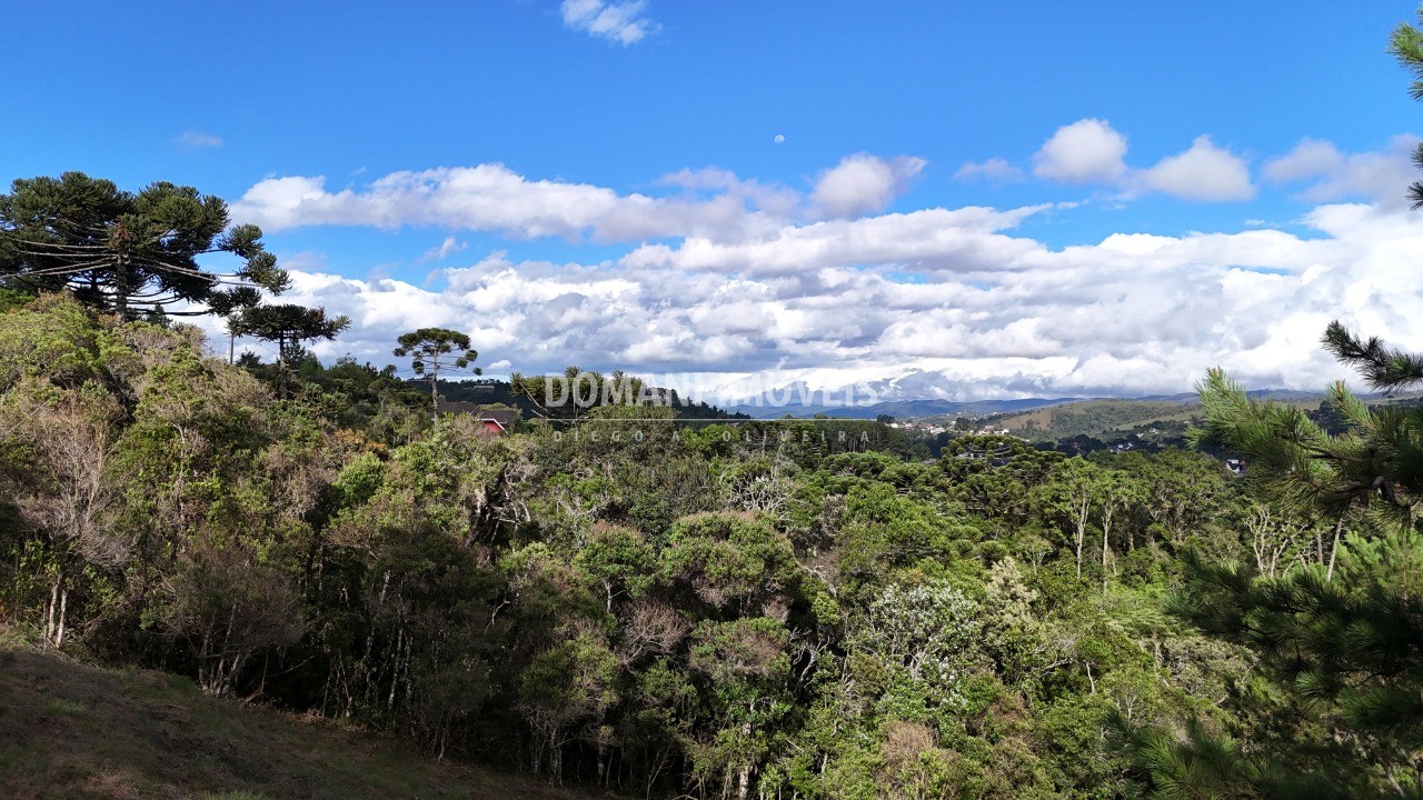 Terreno à venda, 1245m² - Foto 25