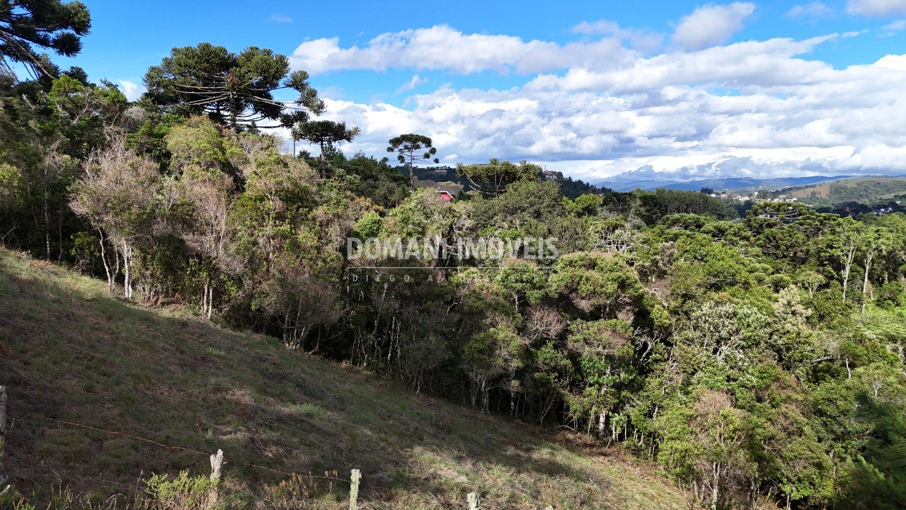 Terreno à venda, 1245m² - Foto 1