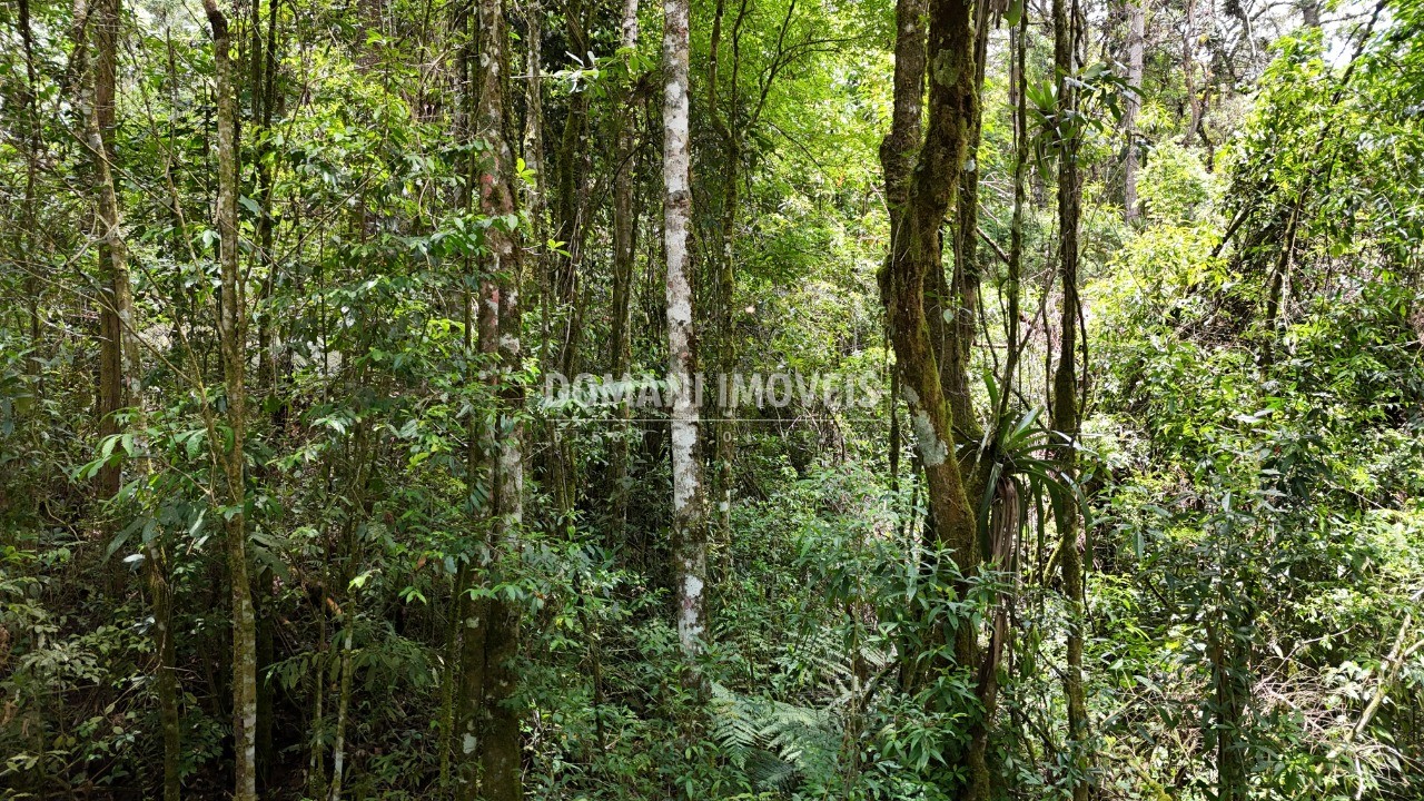 Terreno à venda, 10260m² - Foto 5