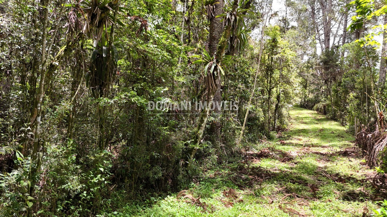 Terreno à venda, 10260m² - Foto 1