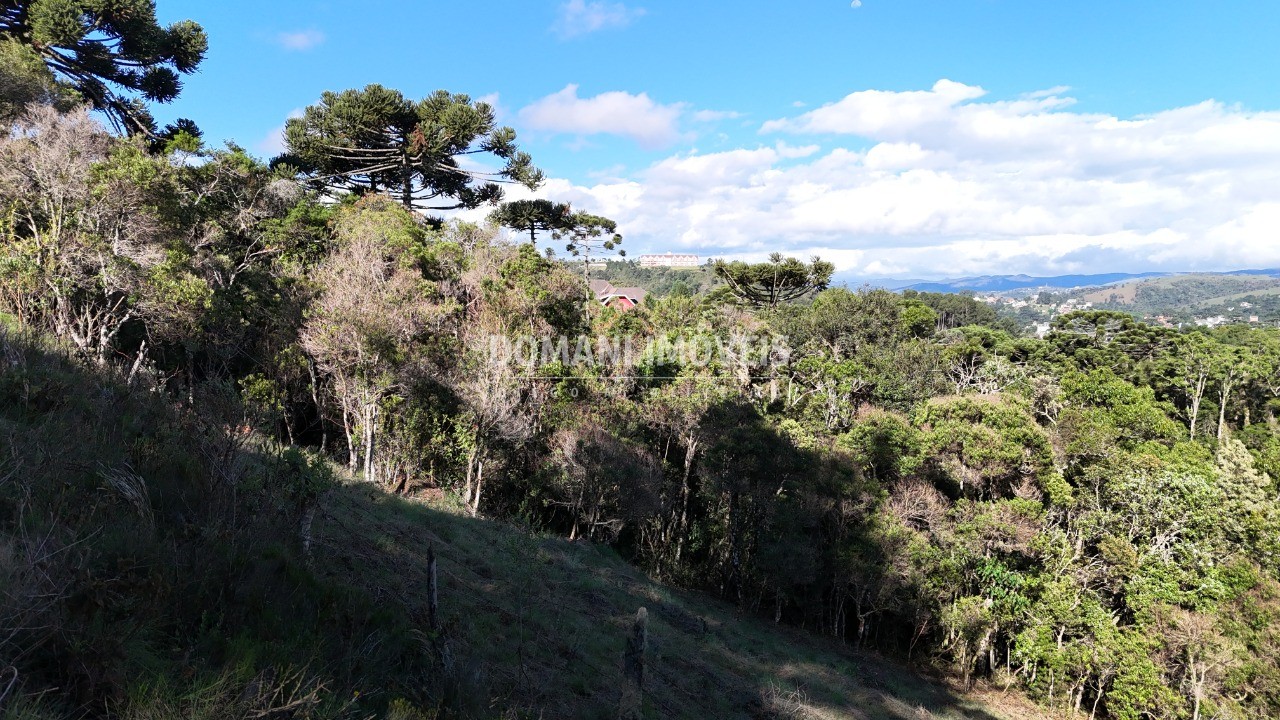 Terreno à venda, 1245m² - Foto 16