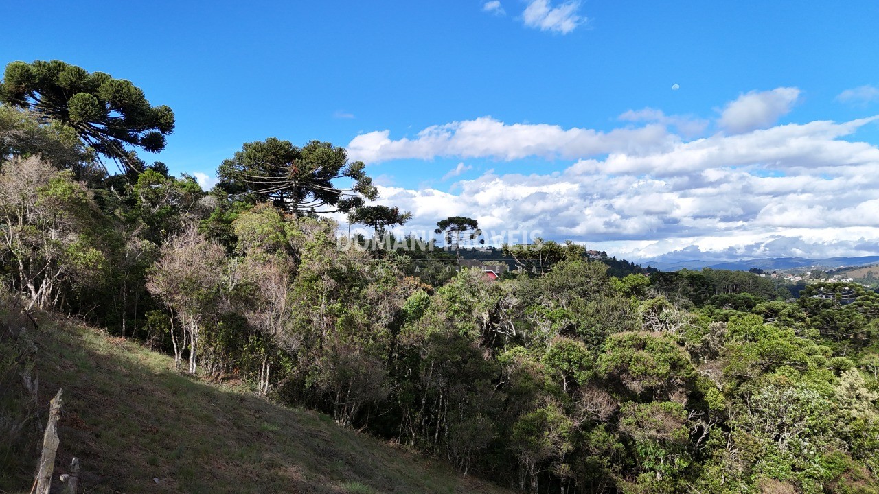 Terreno à venda, 1245m² - Foto 19