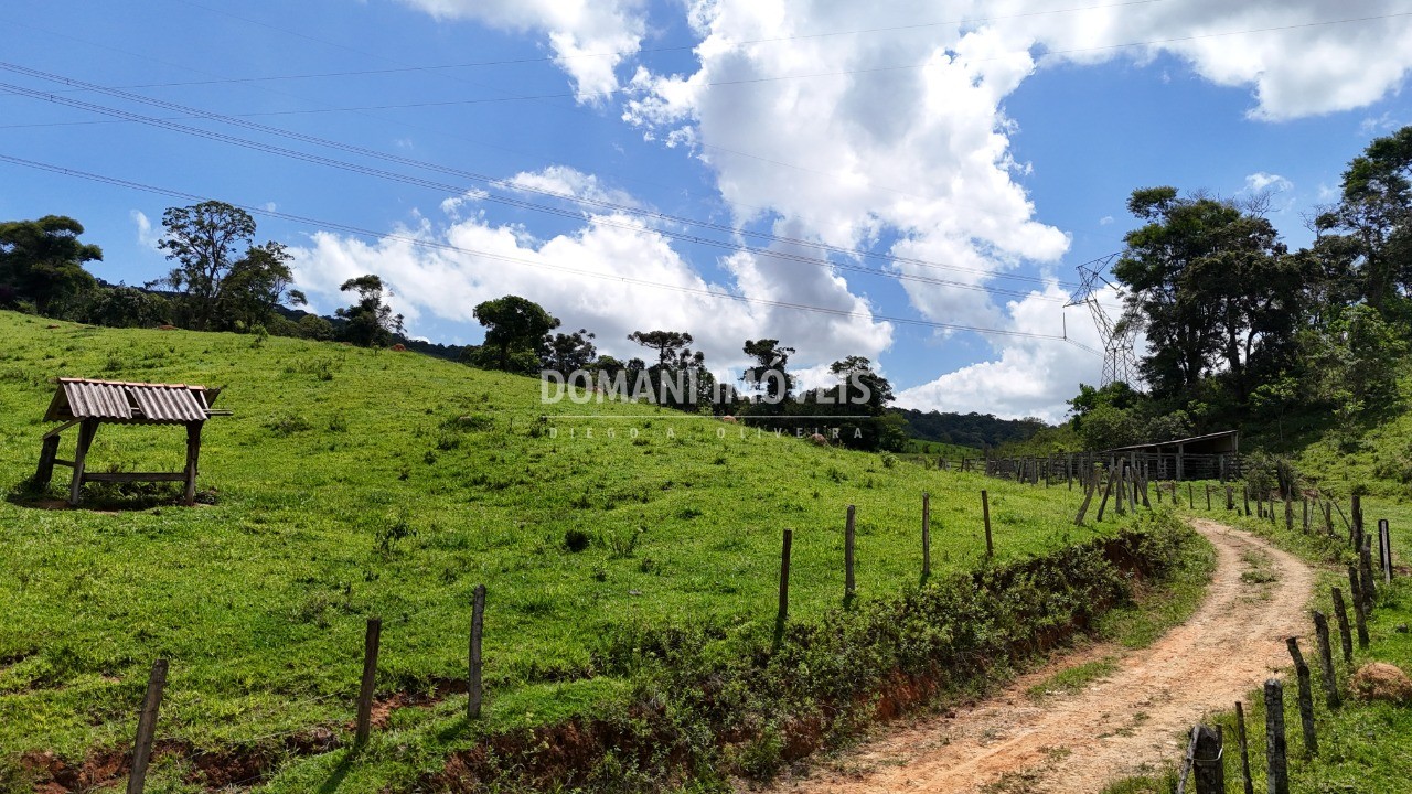 Terreno à venda - Foto 42