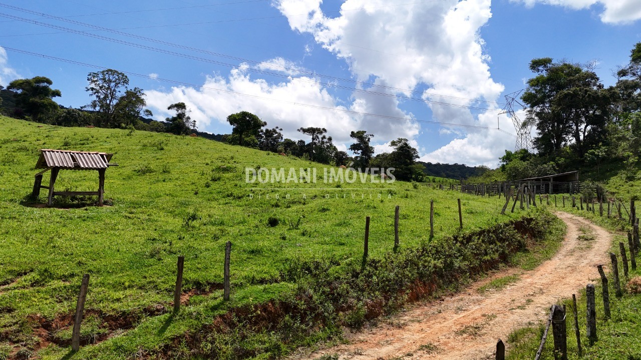 Terreno à venda - Foto 3