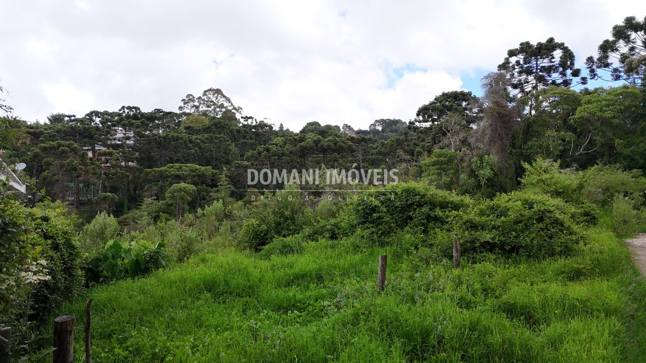 Terreno, 1590 m² - Foto 15