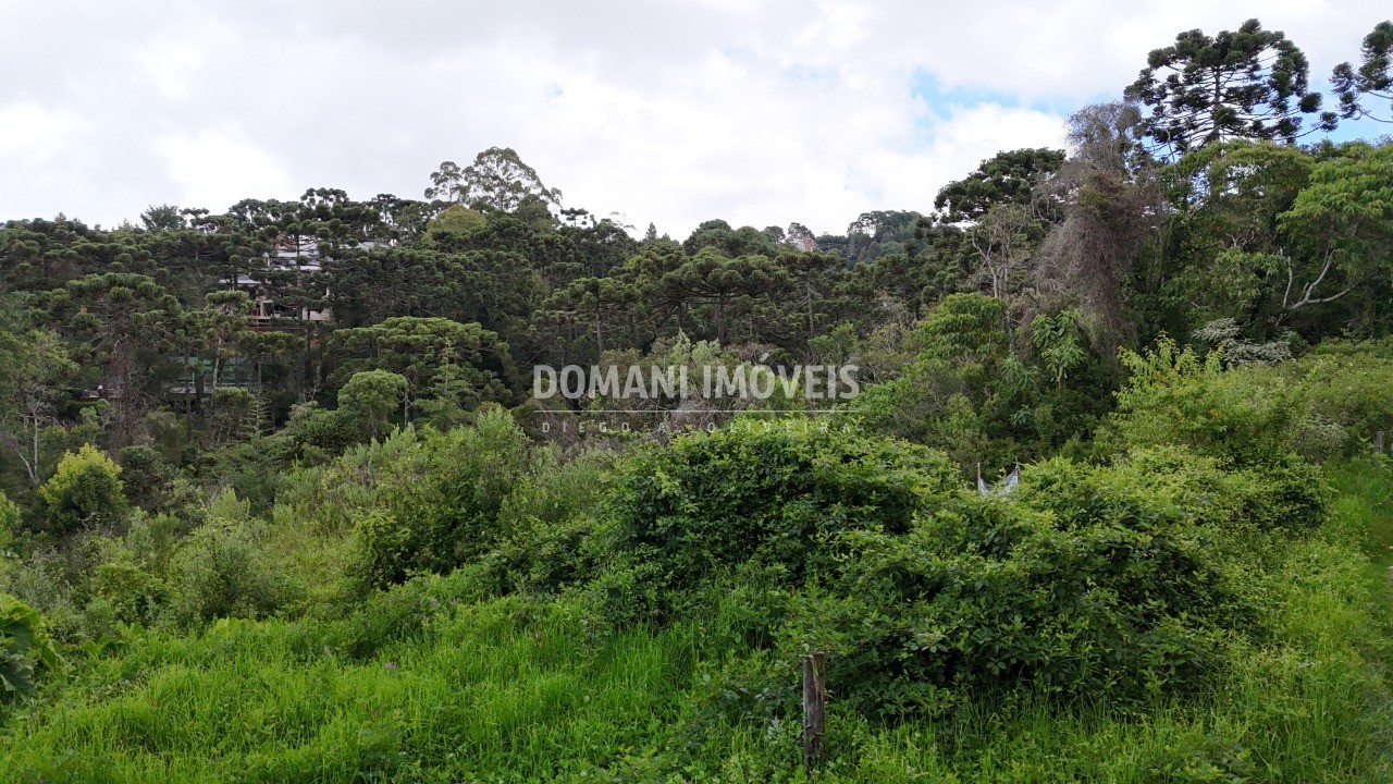 Terreno, 1590 m² - Foto 17