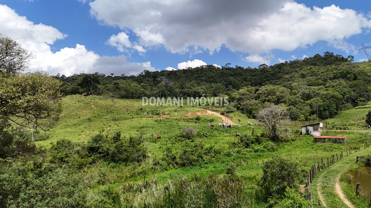 Terreno à venda - Foto 6